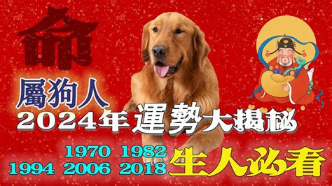 1970屬狗2024運勢每月|属狗1970年出生的人2024年全年运程运势